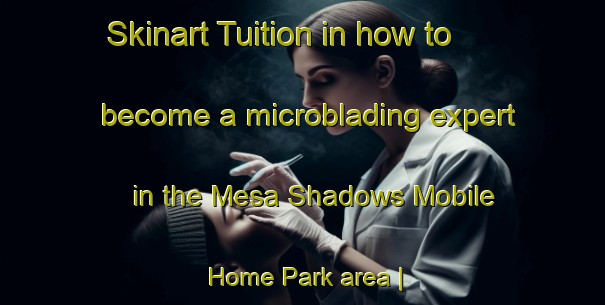 Skinart Tuition in how to become a microblading expert in the Mesa Shadows Mobile Home Park area | MicrobladingTraining | MicrobladingClasses | SkinartTraining-United States